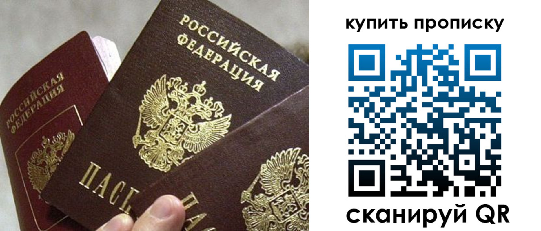 прописка для школы в Шебекино